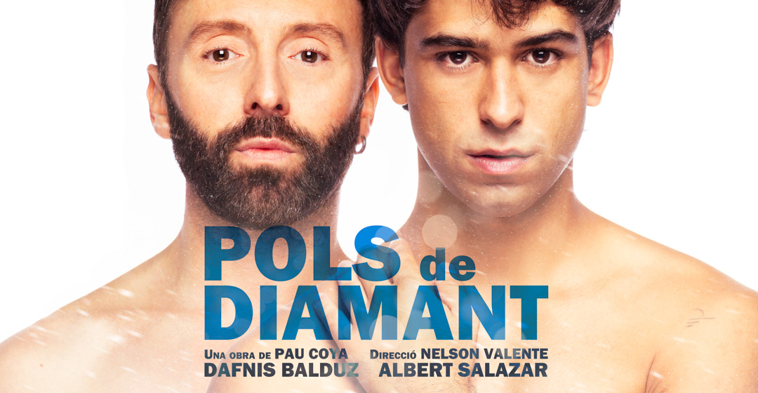 Imatge descriptiva de l'espectacle Pols de diamant